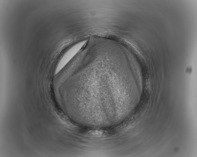 X0000097660687200803142132