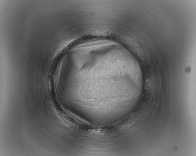X0000097660688200803142132