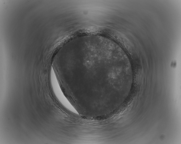 X0000097660689200803142132
