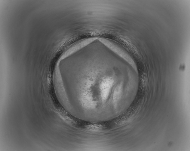 X0000097660691200803142132