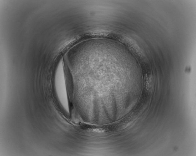 X0000097660692200803142132