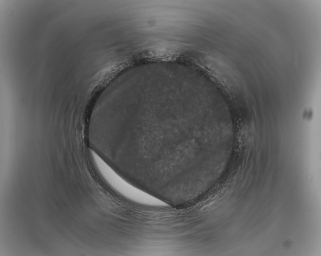 X0000097660693200803142132