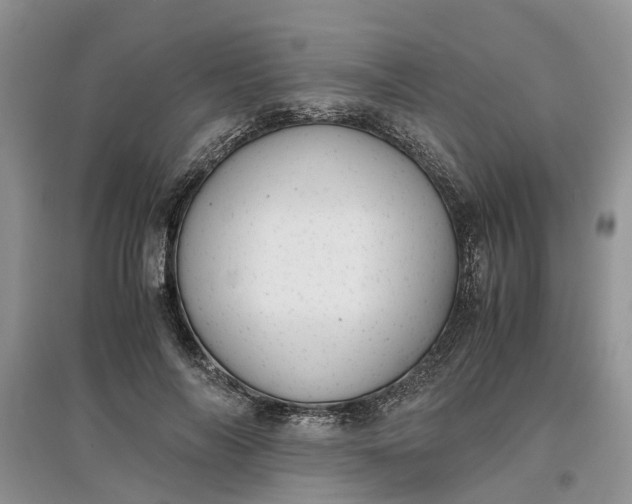 X0000097660694200803142132