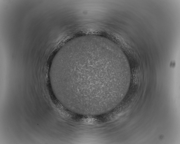 X0000097660695200803142132
