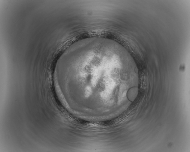 X0000097660699200803142132