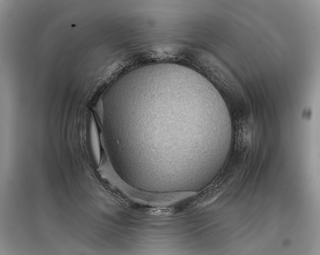X0000097660700200803142132