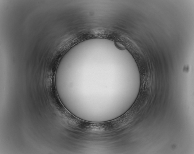 X0000097660702200803142132