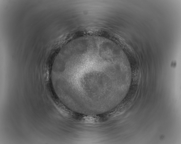 X0000097660703200803142132
