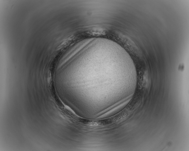 X0000097660704200803142132