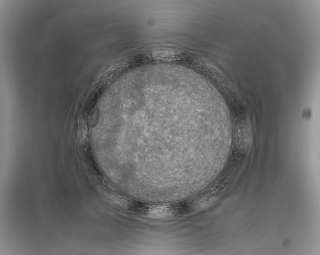 X0000097660705200803142132