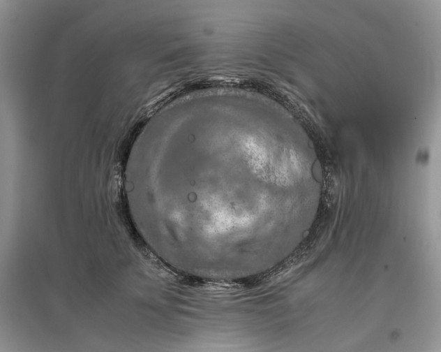 X0000097660707200803142132
