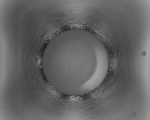 X0000097660709200803142132
