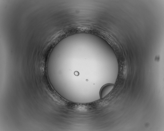 X0000097660710200803142132