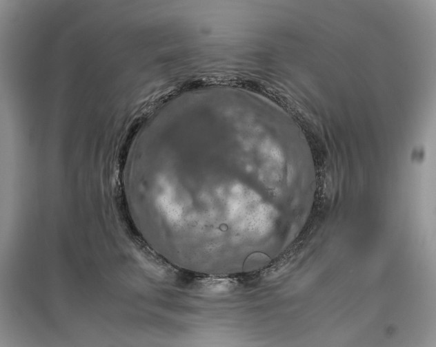 X0000097660711200803142132