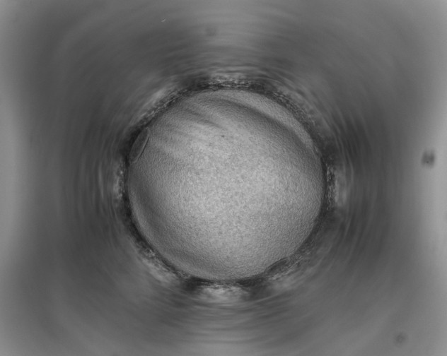 X0000097660712200803142132