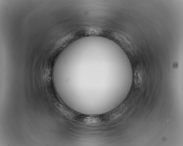 X0000097660714200803142132