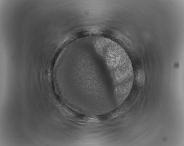 X0000097660715200803142132