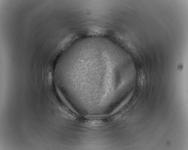 X0000097660716200803142132