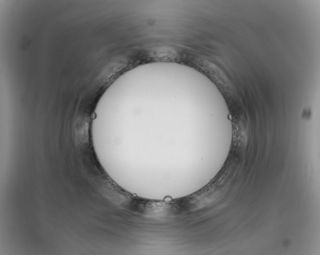 X0000097660717200803142132