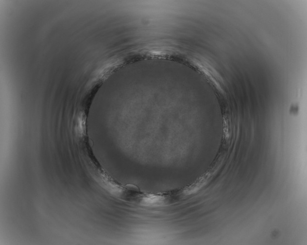 X0000097660718200803142132