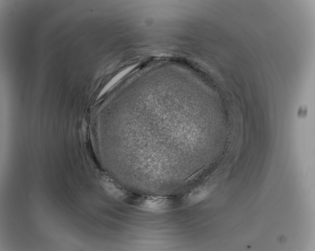 X0000097660720200803142132