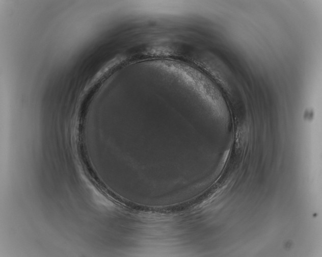 X0000097660722200803142131