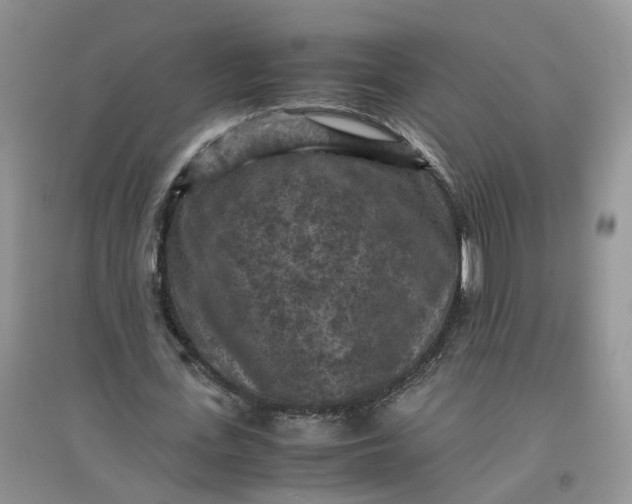 X0000097660723200803142131