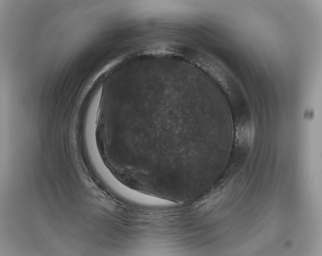 X0000097660724200803142131