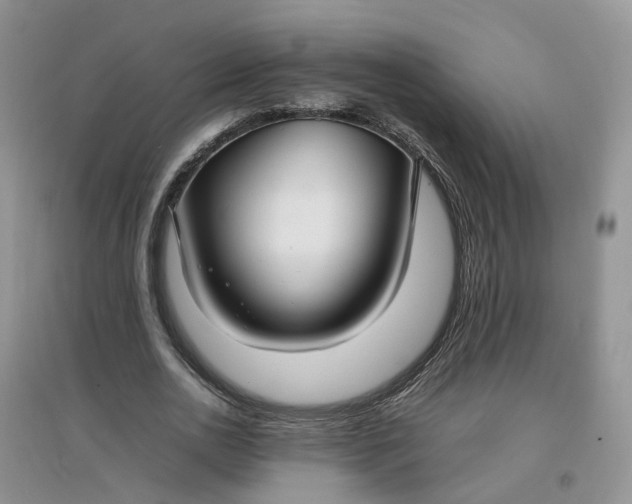 X0000097660726200803142131