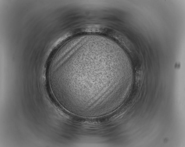 X0000097660727200803142131