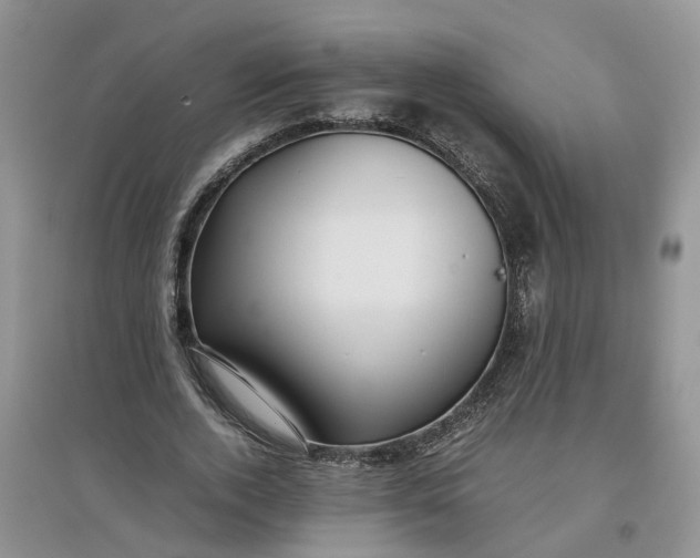 X0000097660728200803142131