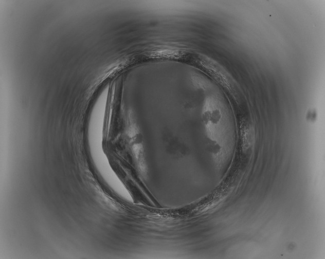 X0000097660729200803142131