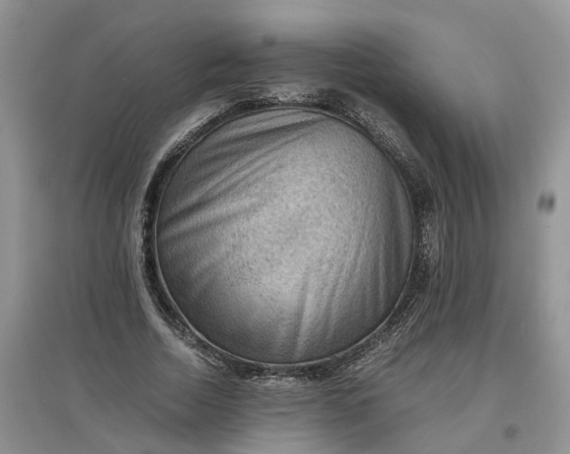 X0000097660730200803142131