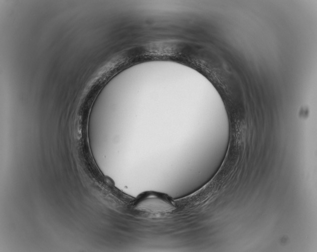 X0000097660731200803142131