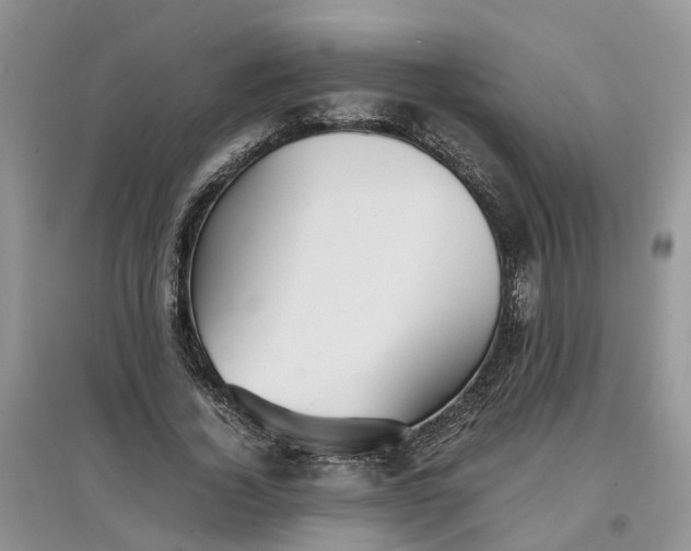 X0000097660732200803142131