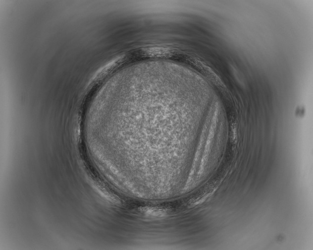 X0000097660733200803142131