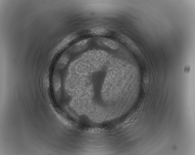 X0000097660734200803142131