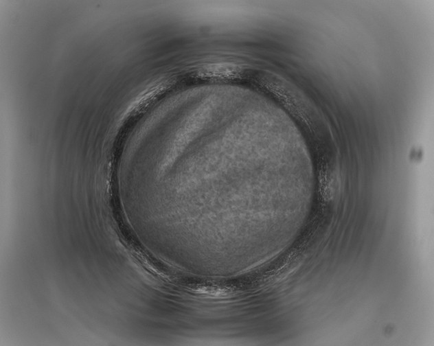 X0000097660735200803142131