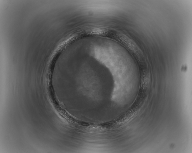 X0000097660736200803142132