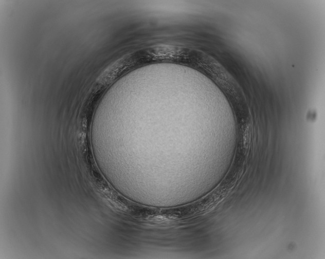 X0000097660737200803142132