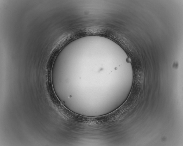 X0000097660738200803142132