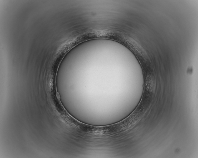 X0000097660740200803142132