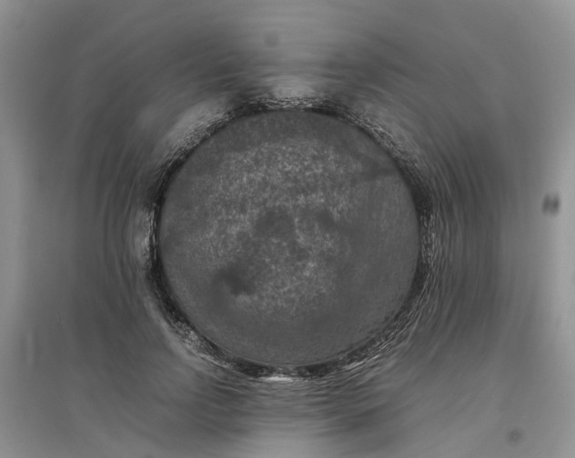 X0000097660742200803142132