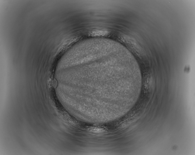 X0000097660743200803142132
