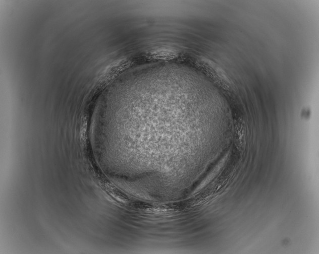 X0000097660745200803142132