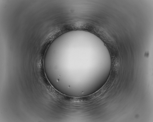 X0000097660746200803142132