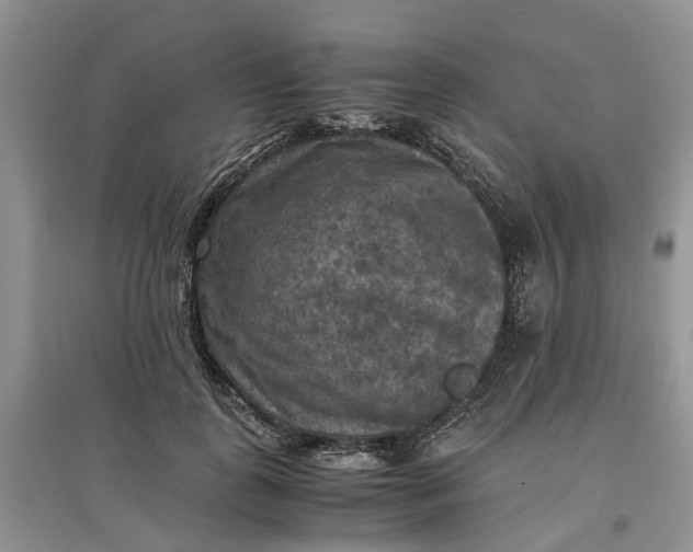 X0000097660747200803142132