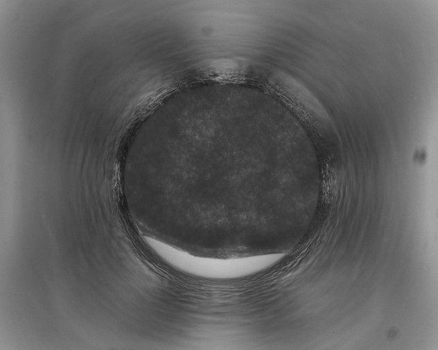 X0000097660748200803142132