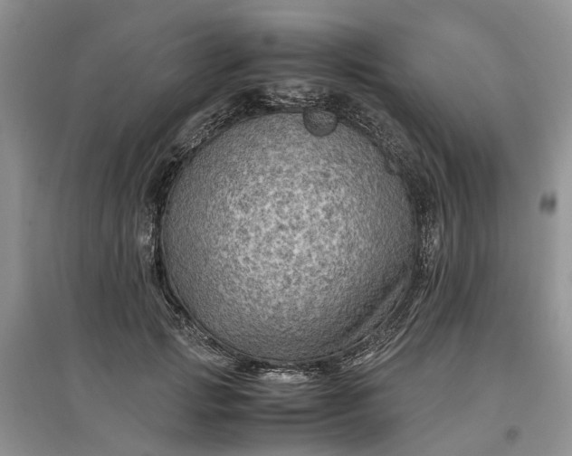 X0000097660749200803142132