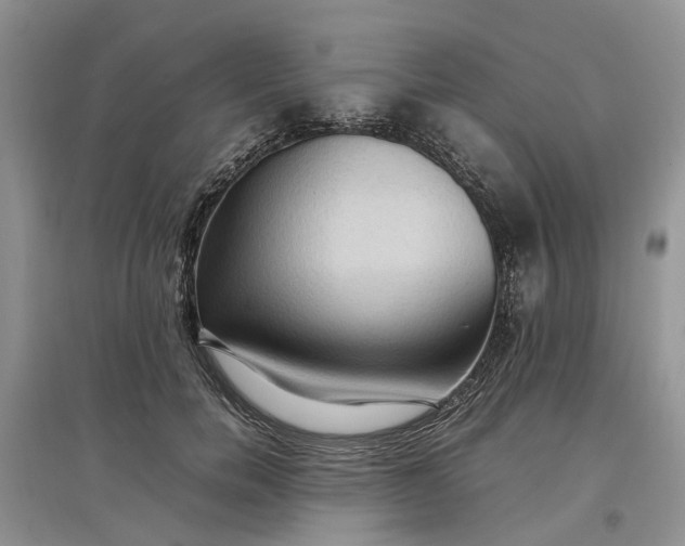 X0000097660750200803142132